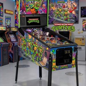 Location Flipper tortue ninja